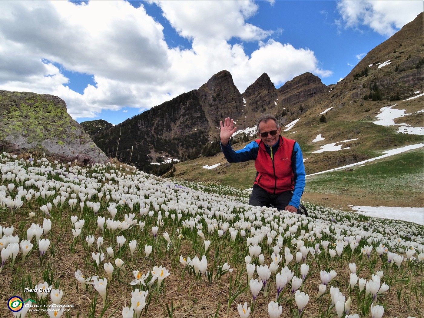 08 Dalla Baita Campo tra distese di Crocus vernus con vista verso i Tre Pizzi.JPG